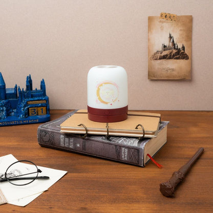 Hedwig Harry Potter atmosphere lamp