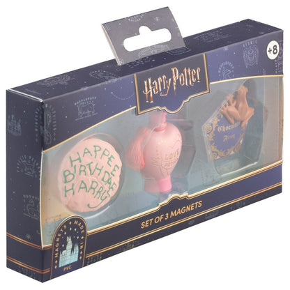 Blister pack of 3 Harry Potter magnets