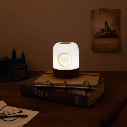 Hedwig Harry Potter atmosphere lamp