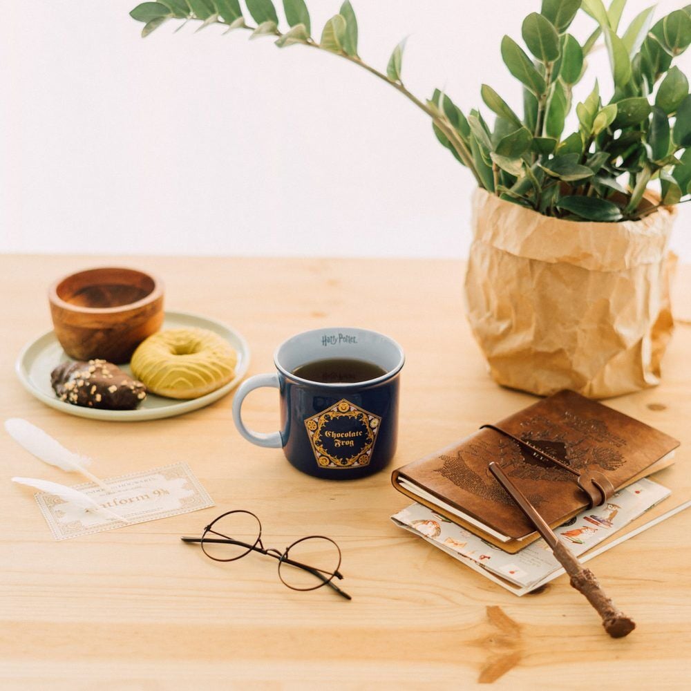 Harry Potter Chocolate Frog Mug 375ml