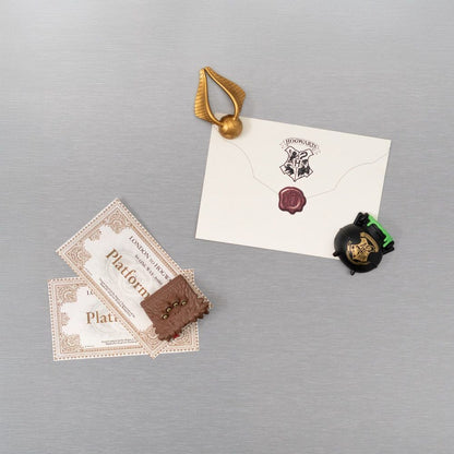 Blister pack of 3 Harry Potter magnets